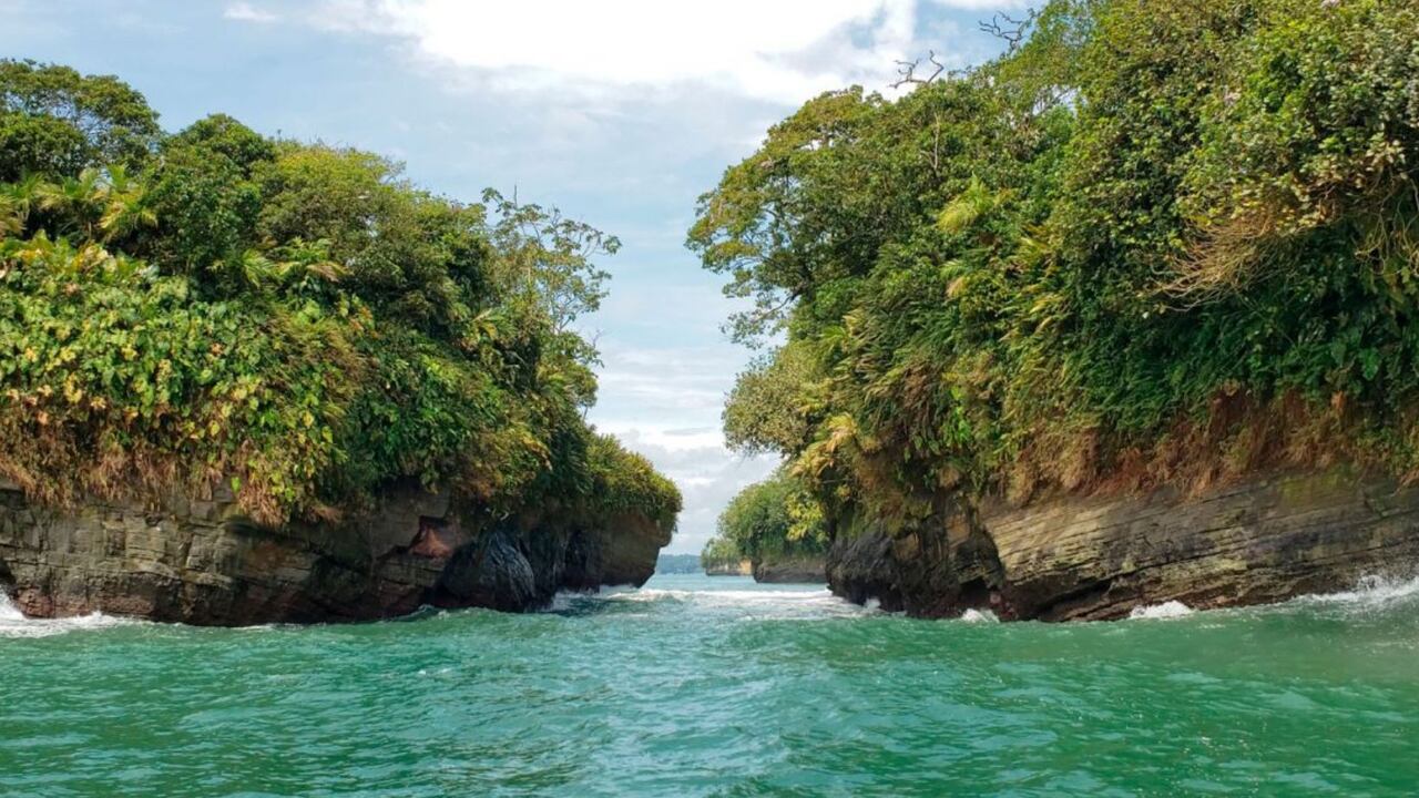 Parque Nacional Natural Uramba Bahía Málaga
