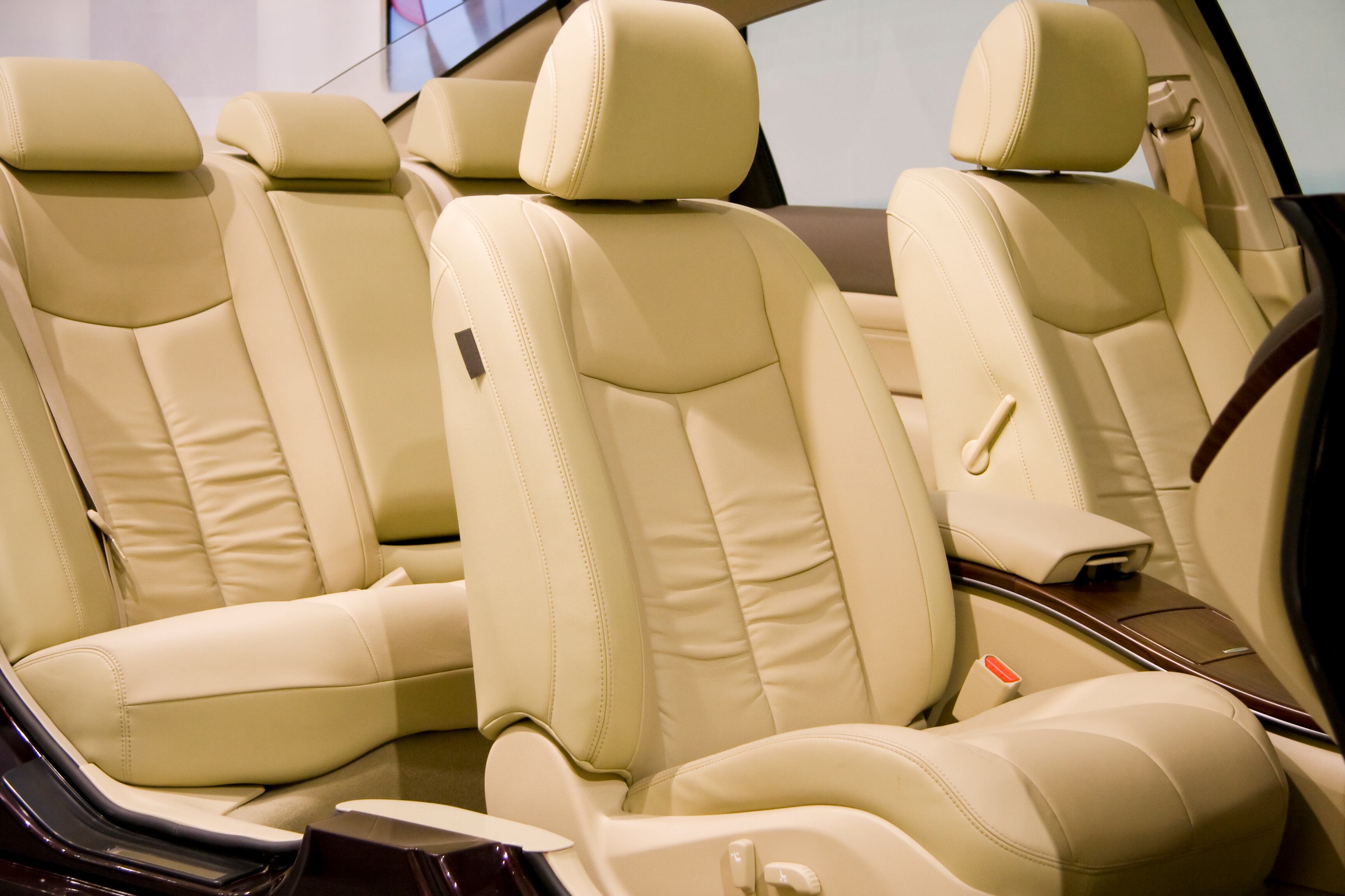 Los apoyacabezas son claves para evitar lesiones severas producto de un choque.