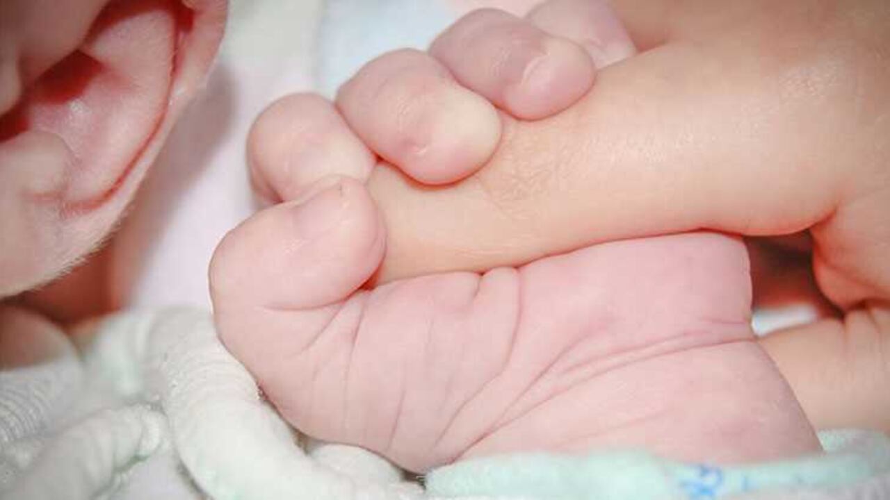 La quimioterapia, radioterapia, terapias dirigidas o cirugía conllevan tantas lesiones en el organismo que estos pueden desembocar en infertilidad