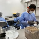 Semillas de cannabis