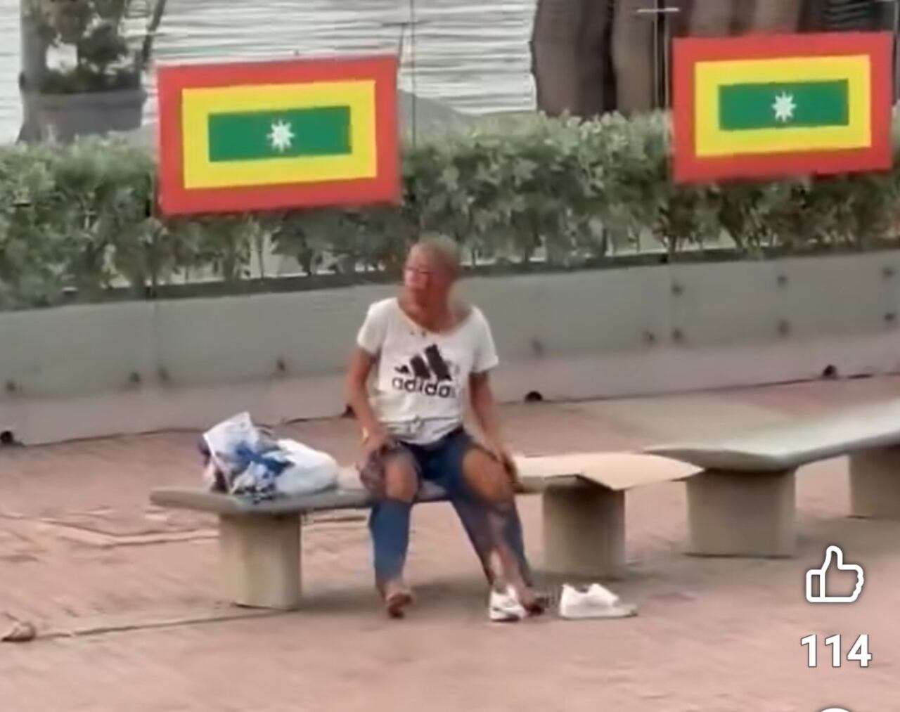 La habitante de calle recibirá atención por parte del Distrito.