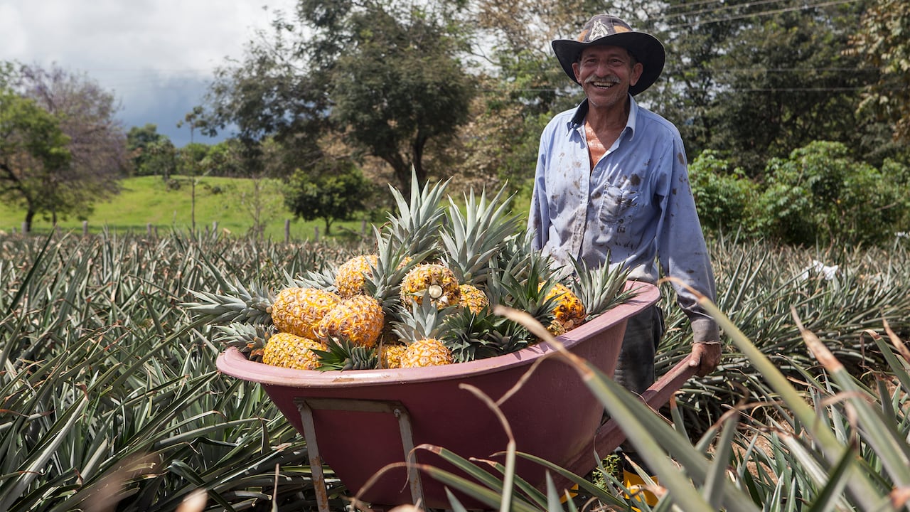 NO USAR, USO EXCLUSIVO MEJOR COLOMBIA, Especial Mejor Colombia, OCDE rural