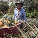 NO USAR, USO EXCLUSIVO MEJOR COLOMBIA, Especial Mejor Colombia, OCDE rural