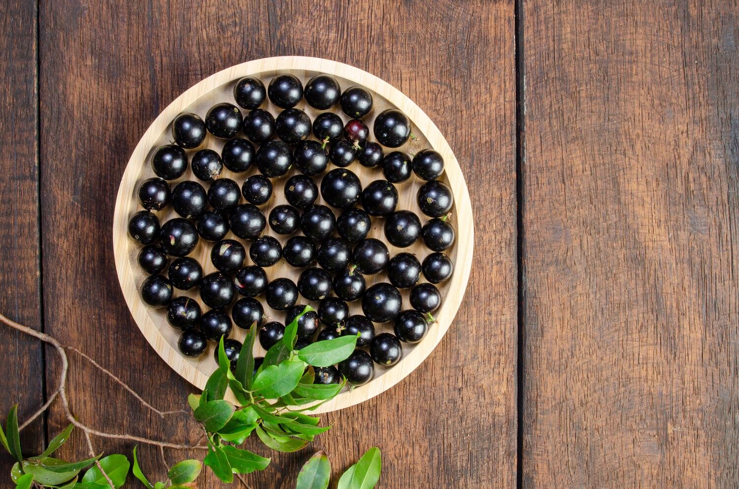 Jabuticaba