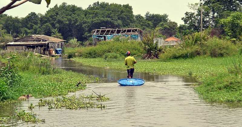 116 defensores del ambiente fueron asesinados en 2014 a nivel mundial.