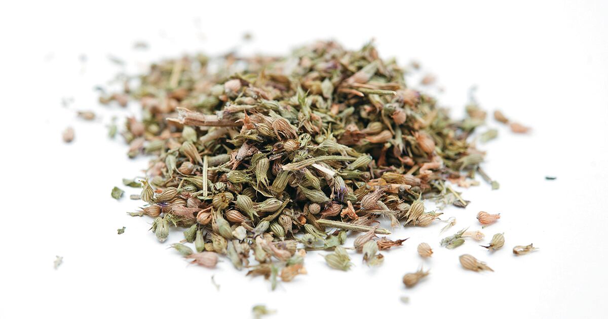 El catnip concentra en sus semillas y hojas aceites que estimulan a los gatos, durante periodos que oscilan entre cinco y diez minutos.