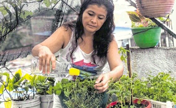 Los días 5, 12 y 19 de febrero son especialmente propicios para sembrar nuevas plantas,