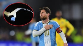 Salvia messii recibió ese nombre en honor al jugador de fútbol argentino Lionel Messi.
