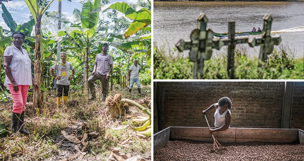 Esta semana, Pierre Lapaque, representante de la UNODC, resaltó que en Colombia hubo una disminución de 7 por ciento del área sembrada de coca frente a 2019.