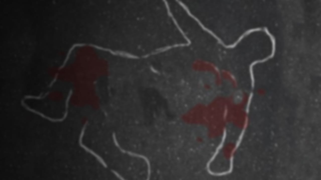 Paradójicamente los responsables de esta acción que se cuenta a continuación no están en una cárcel sino que gozan de libertad.