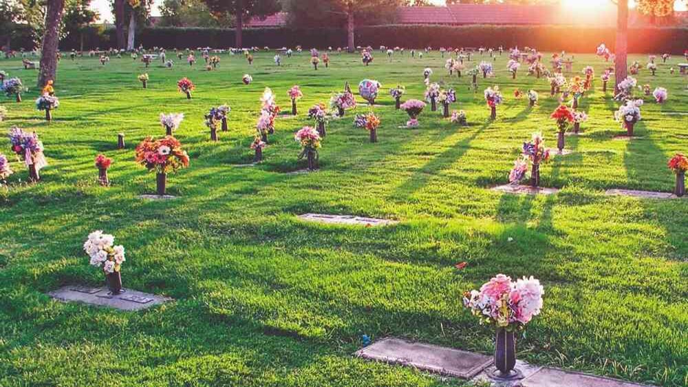 Gracias a medidas rápidas y a la organización de todas las empresas se pudo cumplir con las exigencias actuales.