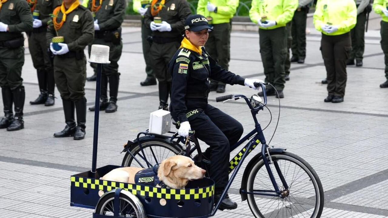 En Ibagué, la Policía prendió la navidad y con regalos de seguridad ciudadana