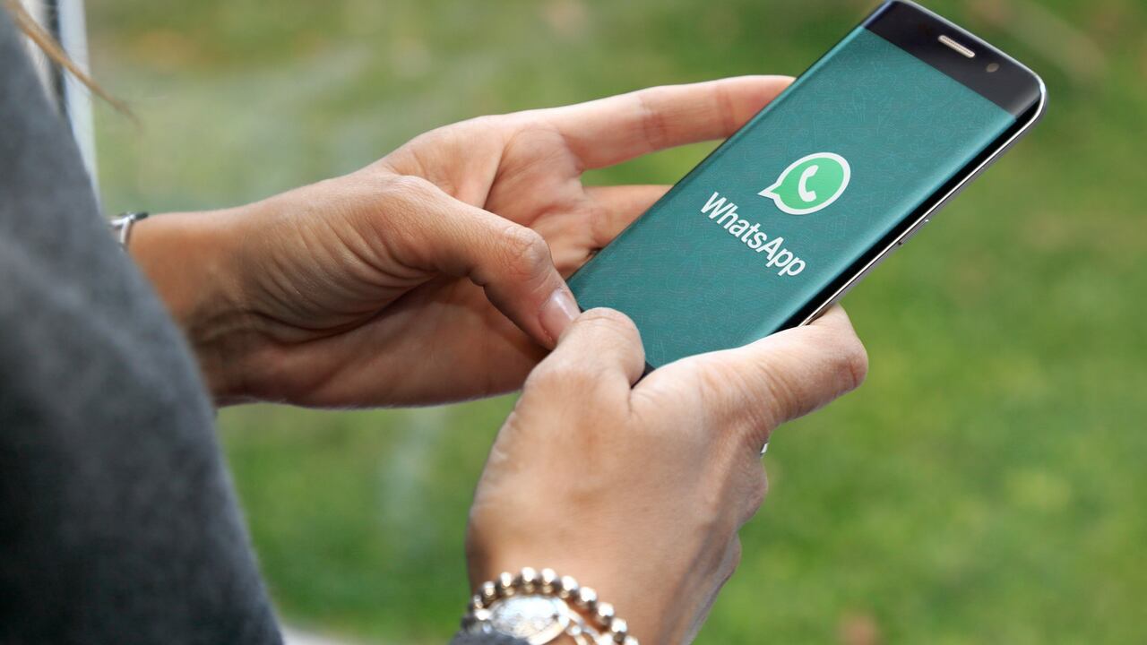 Este chat sobre salud sexual está disponible en WhatsApp a través del número 323 8019262.