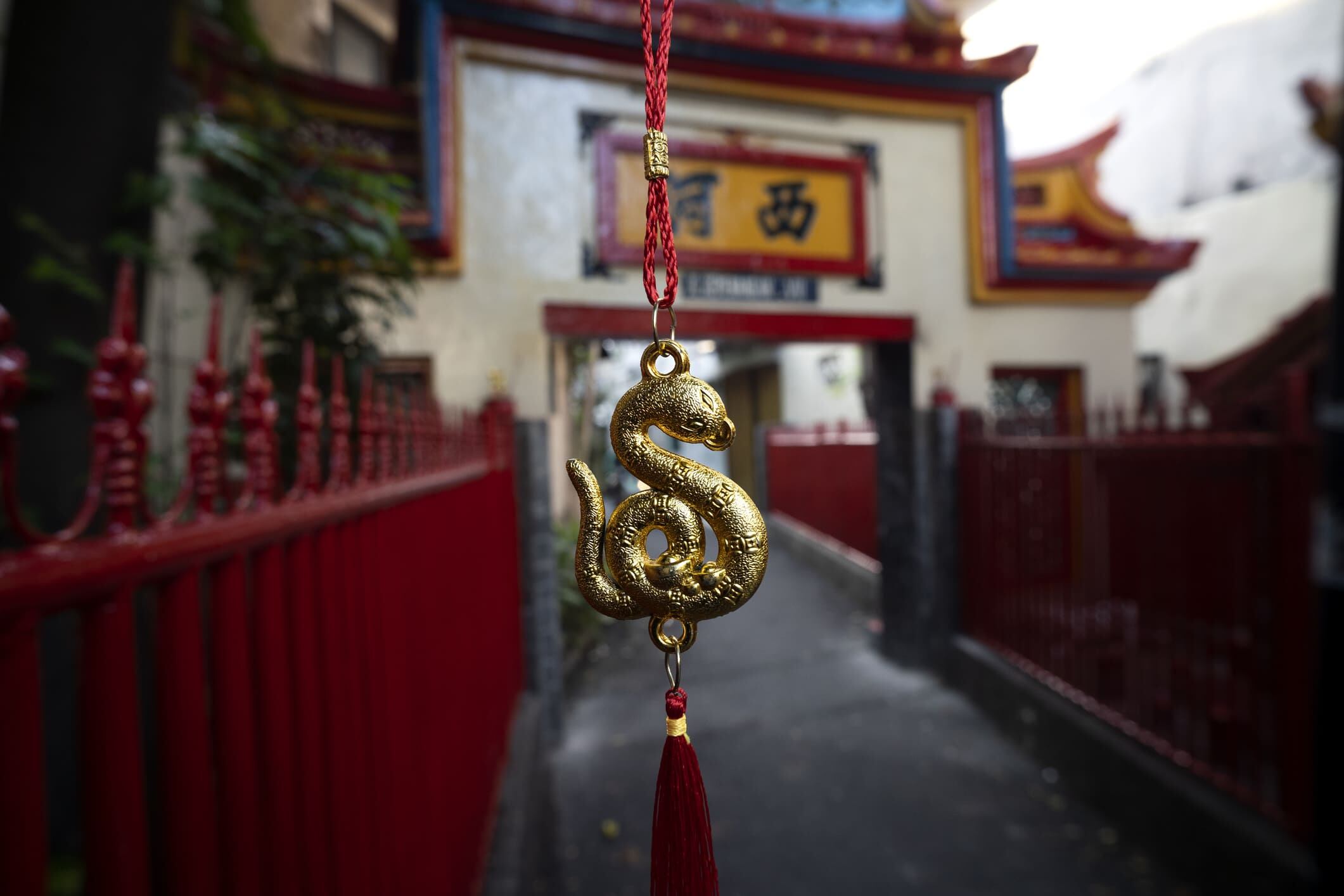 Los números relacionados con la Serpiente de Madera podrían tener un impacto positivo en las apuestas de la lotería.