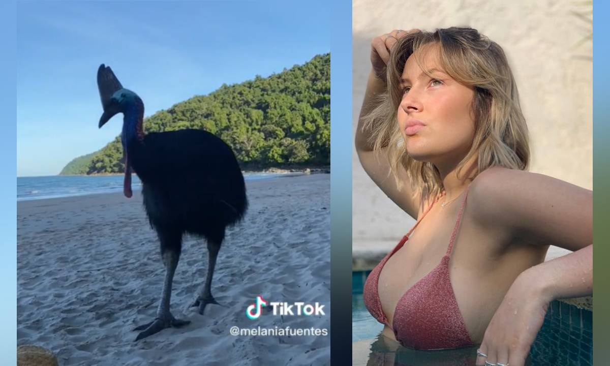 La mujer compartió el momento a través de las redes sociales, mostrando también algunas de las reacciones que recibió por su video.