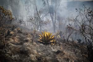 Incendios forestales en el municipio de Sopo Cundinamarca