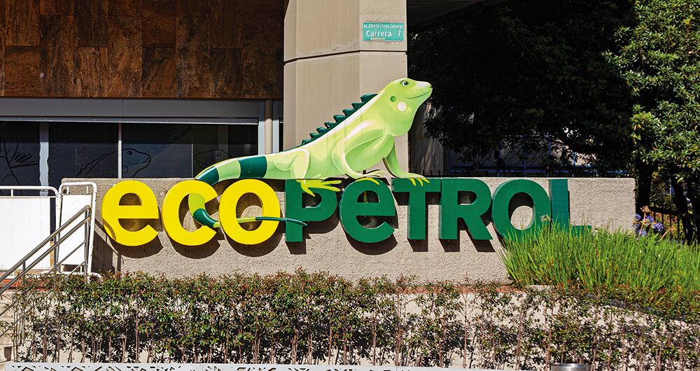 La compañía en la que la Nación tiene la mayoría de la propiedad accionaria lleva más de un año entre controversias por múltiples causas.