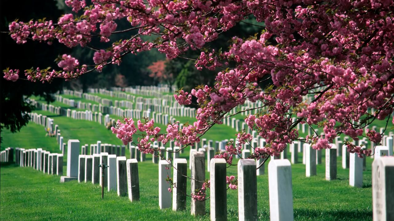 El joven era buscado por las autoridades del Estado.