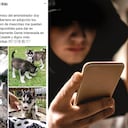 Si va a adoptar un animal, verifique que los anuncios sean reales o contacte fundaciones conocidas que trabajan por el bienestar animal en diferentes regiones del país.