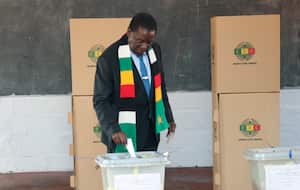 El presidente de Zimbabue, Emmerson Mnangagwa, deposita su voto en un centro electoral en Kwekwe, Zimbabue, el miércoles 23 de agosto de 2023. Según los resultados difundidos el sábado 26 de agosto, Mnangagwa ganó la reelección. (AP Foto)