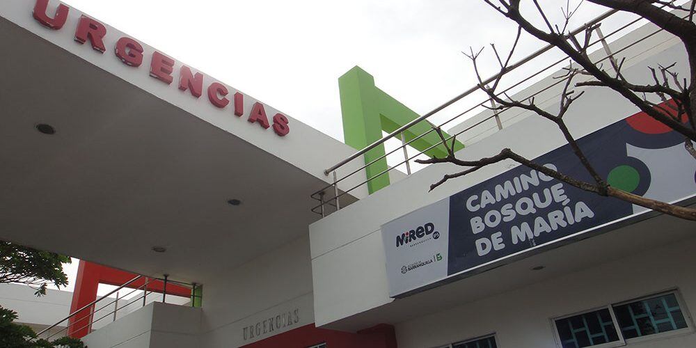 Camino El Bosque, donde murió el recluso.