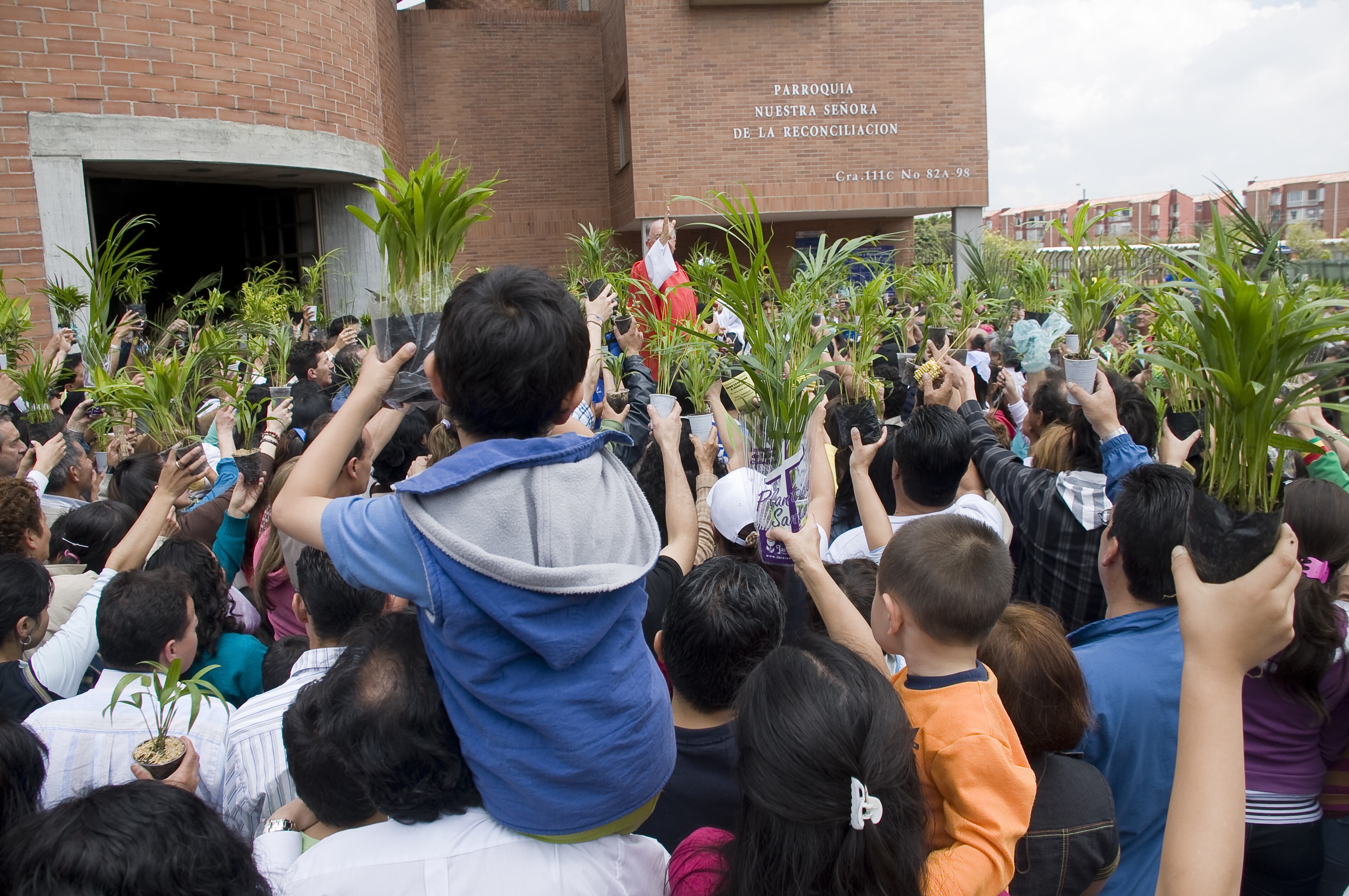 Celebración de domingo de ramos en Semana Santa.
