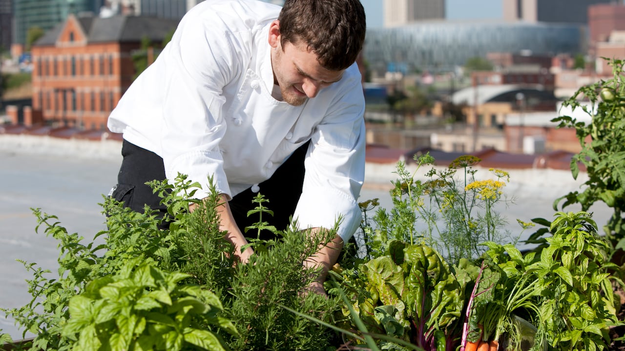 La agricultura urbana se convertirá en un sistema frecuente.