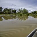 El sector de Puerto Bertín y la Laguna de Sonso tambien sufren a causa del incremento del nivel de las aguas del río Cauca.