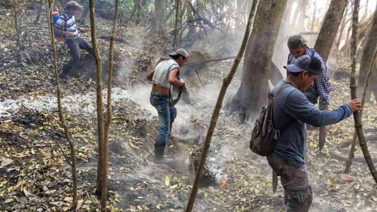 Miembros del CONAP apagan el último cortafuego en el Parque Nacional Laguna del Tigre. Foto: Max Radwin para Mongabay.