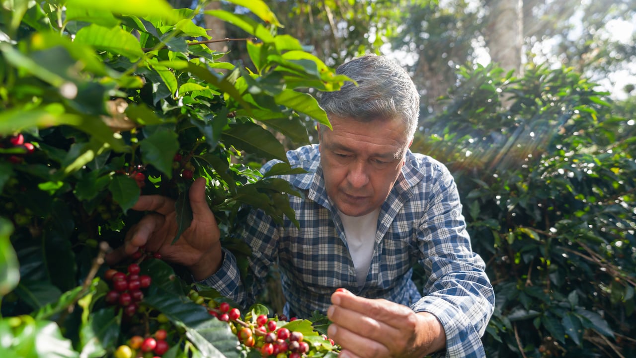 La logística y conectividad ganan importancia en el comercio agrícola internacional.