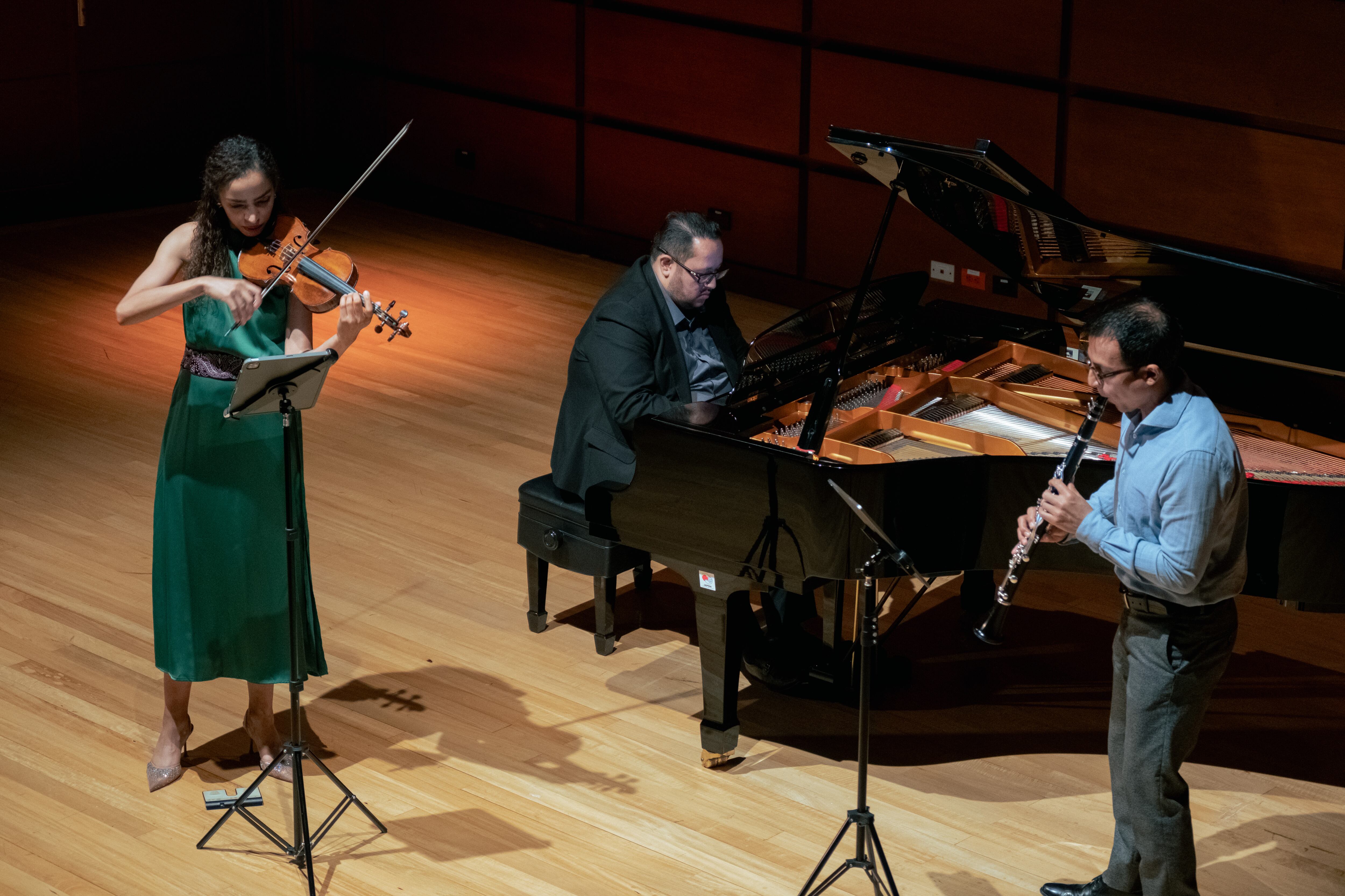 Este año, desde febrero hasta noviembre, Compensar ofrecerá 18 funciones de música instrumental.