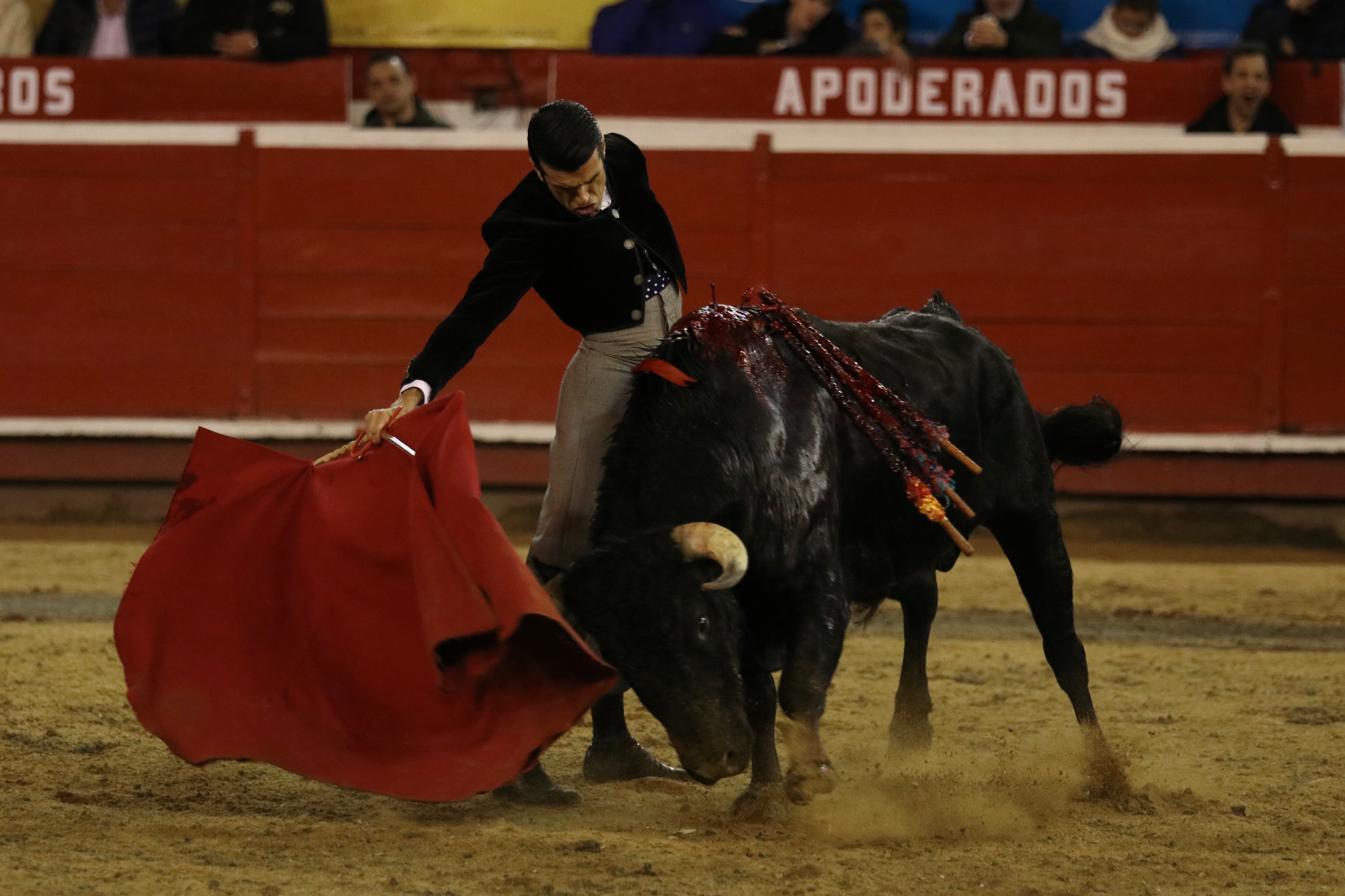 El torero español Emilio de Justo indultó a Emir, el segundo novillo-toro de Ernesto Gutiérrez, durante el Festival Taurino de Manizales del 2023.