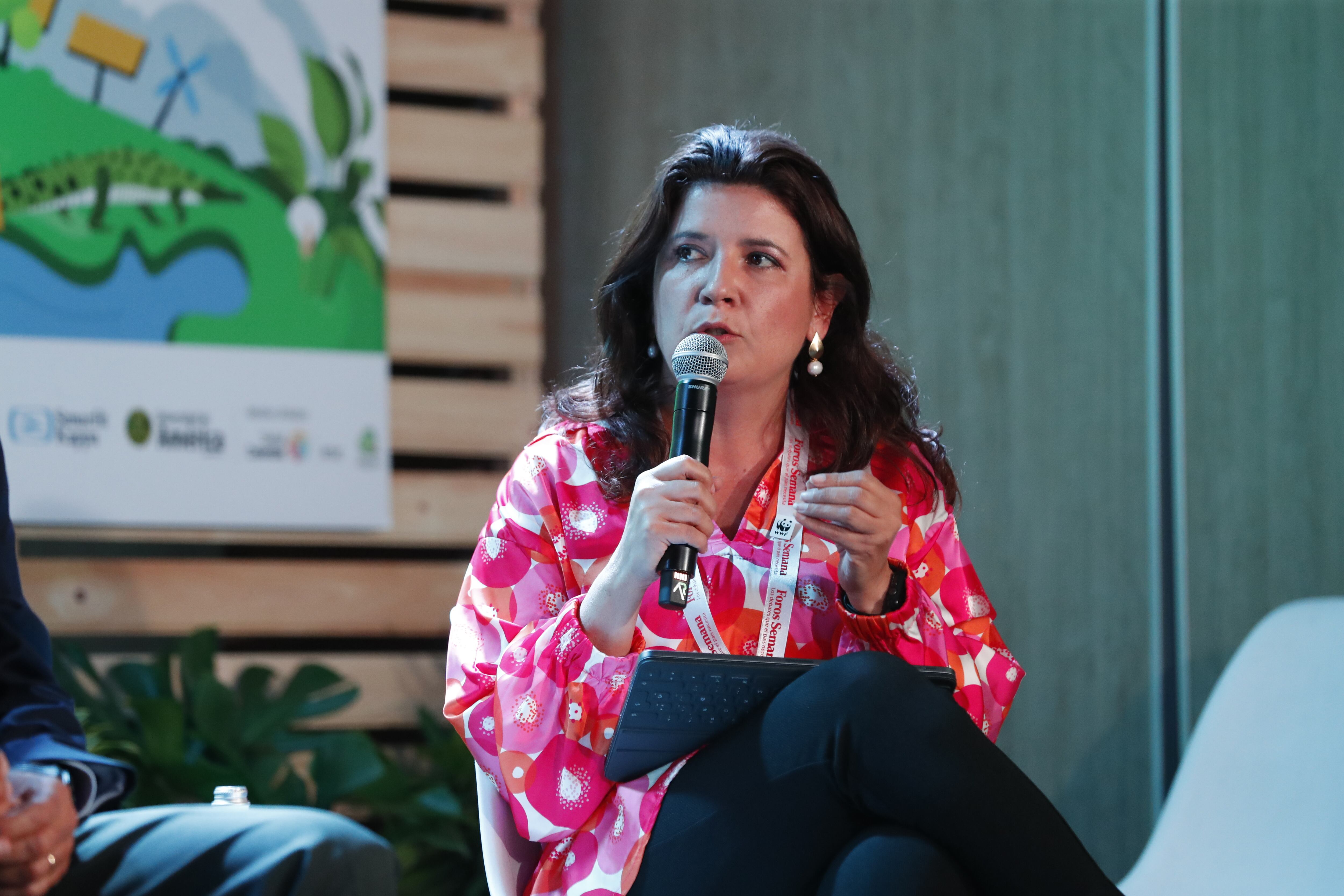 Sandra Valenzuela, directora ejecutiva de WWF, afirmó que uno de los grandes errores del país ha sido no mirar la restauración de los ecosistemas más allá de una siembra de árboles. Explicó que se debe generar una restauración activa que se vea como parte de una economía local y lícita, y en la que todos los sectores tengan un rol “para generar acuerdos y sistemas de producción que permitan una economía basada en el uso adecuado de la biodiversidad”.