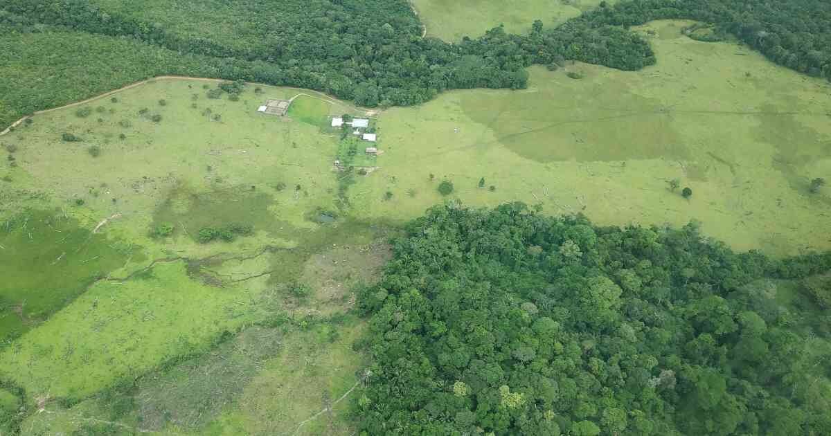 Deforestación en Colombia