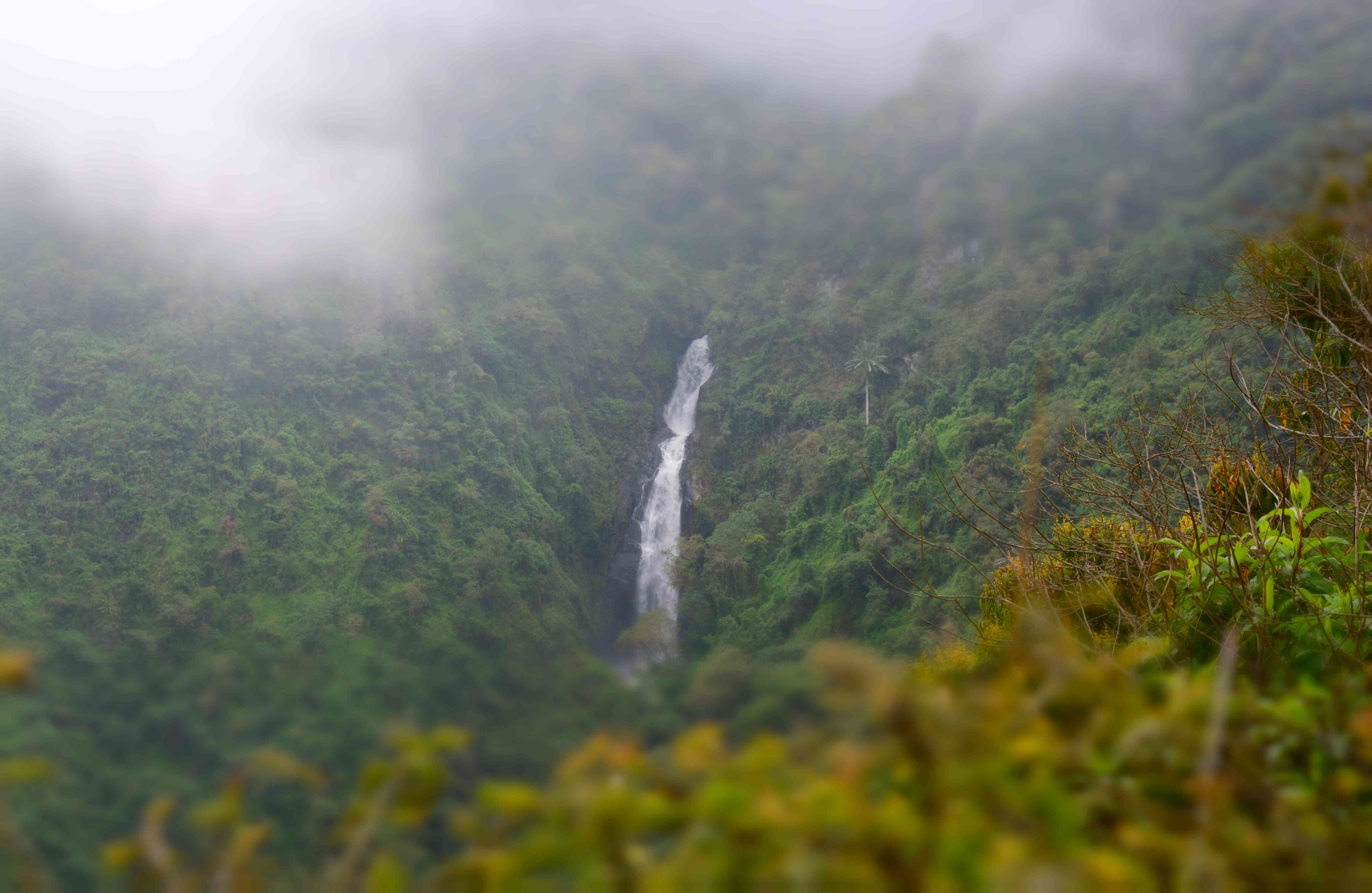 El parque es el enclave de 30 afloramiento de agua. Foto: Ingenio Providencia