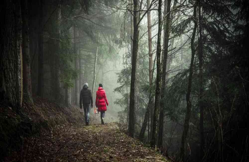 Si estuviera perdido en la jungla,  ¿con quién quisiera estar? Esta pregunta ayuda a romper el hielo. Pueden complementarla  otras: ¿cómo cree que los dos sobrevivirían en la selva?, ¿cómo creen que los dos elegidos se la llevarían en esa experiencia? FOTO: Pixabay