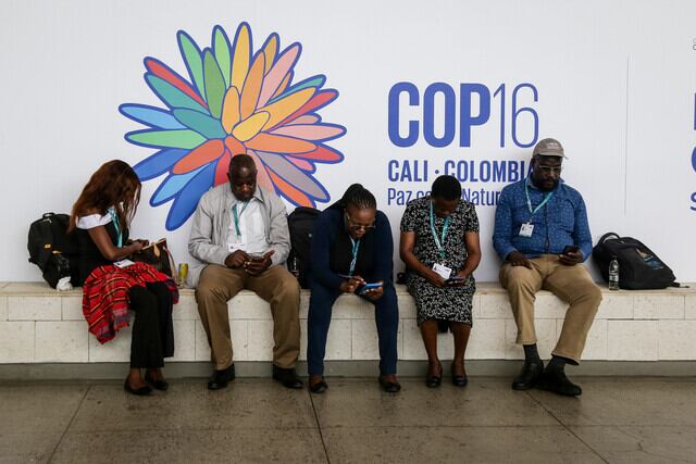 COP16