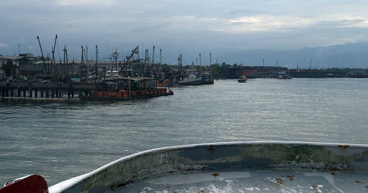 La pesca con la técnica de palangre puede estar afectando a otras especies en los mares colombianos. Foto: Gloria González.
