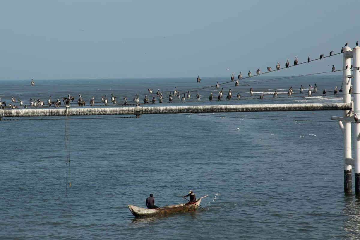 El poblado donde ocurrió la tragedia del camión cisterna no tiene agua potable ni alcantarillado, y su sustento depende de la cada vez más afectada Ciénaga Grande de Santa Marta. Foto: Guillermo Torres/SEMANA