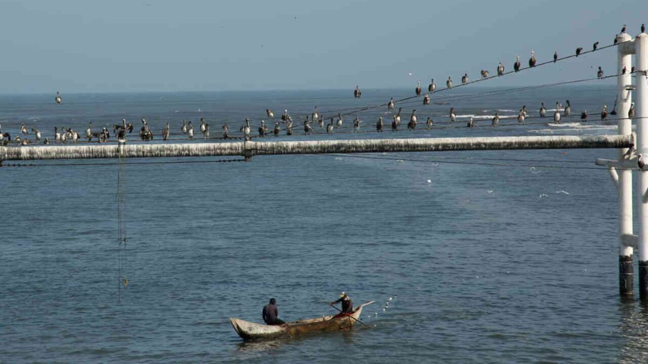 El poblado donde ocurrió la tragedia del camión cisterna no tiene agua potable ni alcantarillado, y su sustento depende de la cada vez más afectada Ciénaga Grande de Santa Marta. Foto: Guillermo Torres/SEMANA