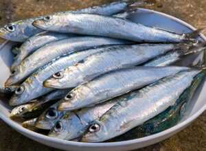 Sardinas: Como todos los “pescados azules”, son una excelente fuente de ácidos grasos omega-3. Pero además, contienen otros ácidos: los omega-6, que previenen distintas enfermedades. Sin embargo, su consumo excesivo podría aumentar la propensión a la depresión.