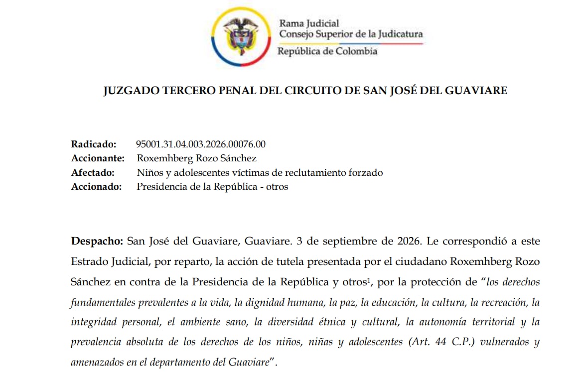 El Juzgado Tercero Penal del Circuito de San José del Guaviare admitió una acción de tutela contra los bombardeos.
