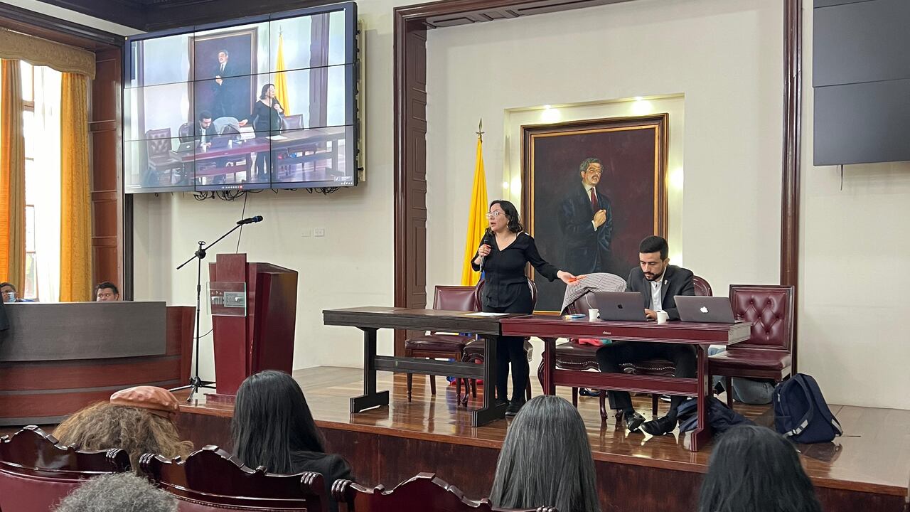 La representante a la Cámara Jennifer Pedraza convocó a una audiencia pública sobre la crisis en el Fomag.