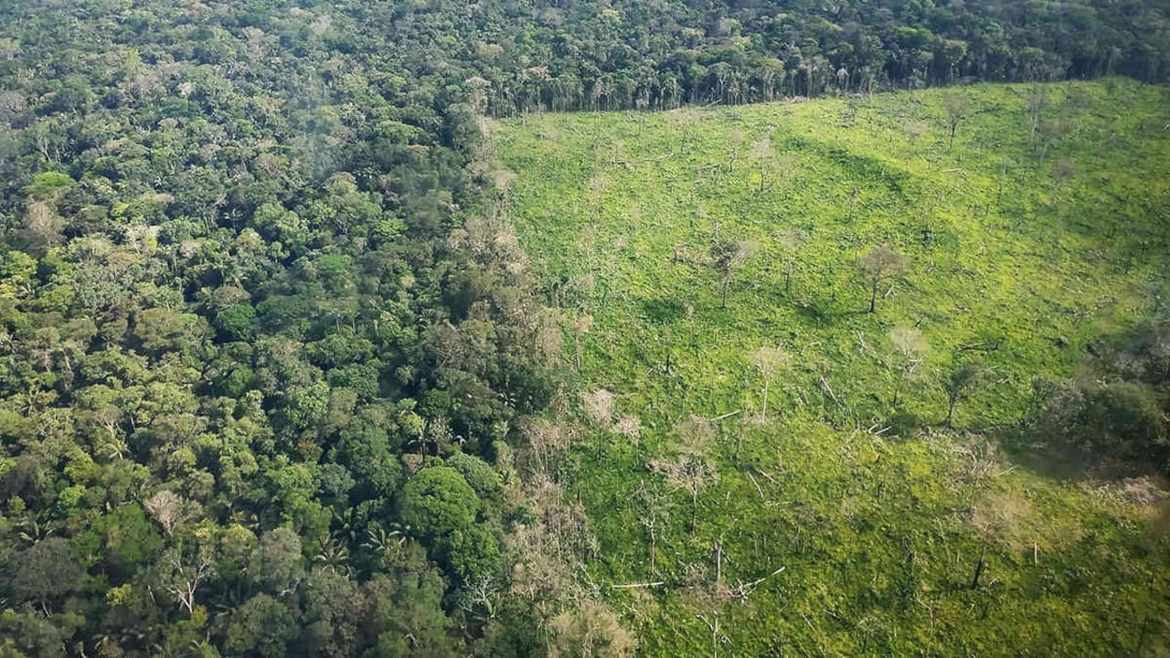 La calma anunciada por el Gobierno en la Amazonia llegó a su fin en el último trimestre de 2019. Foto: FCDS.
