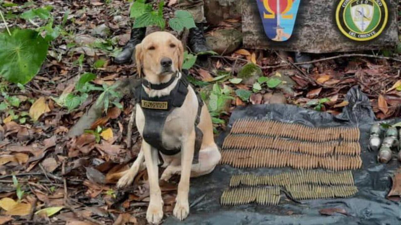 Los hechos se registraron en el municipio de Puerto Rico, Meta.