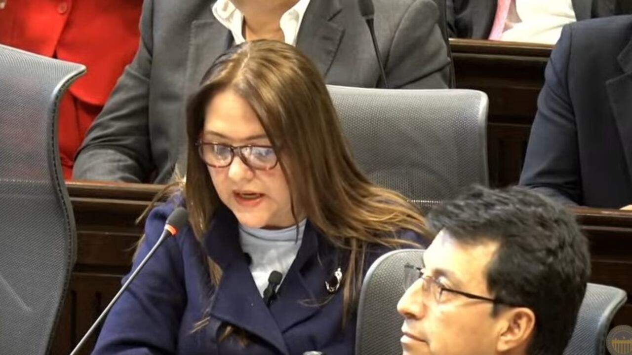 Claudia Pérez, senadora