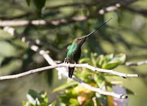 Los paisajes naturales son uno de los atractivos de Urrao, en Antioquia.