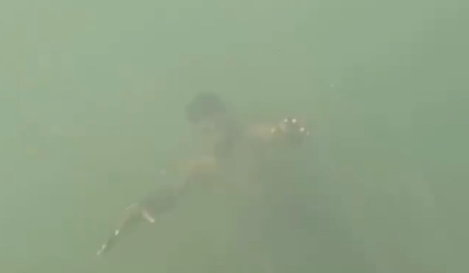 El hombre se encontraba bajo el agua y se estaba ahogando