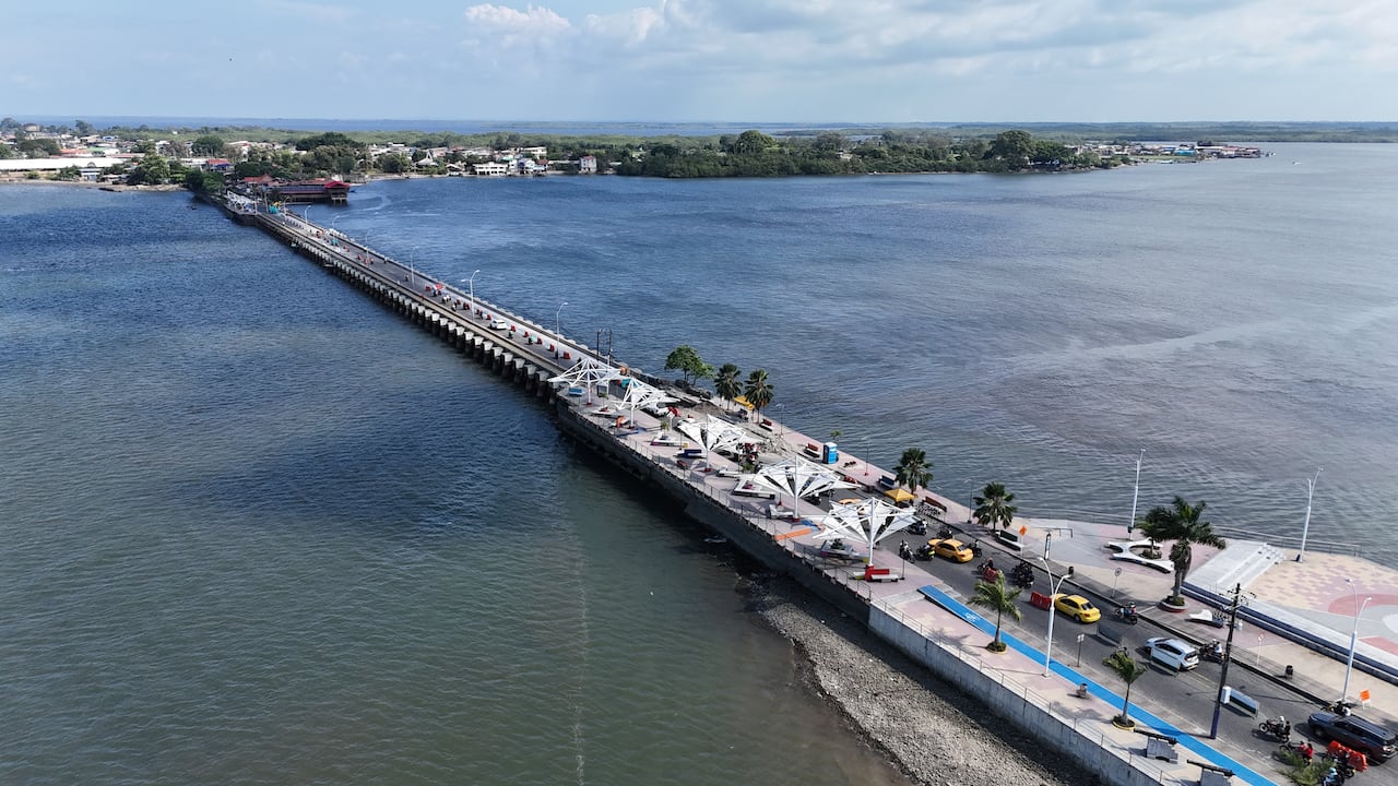 Desde el Pacífico, Colombia conmemora la Semana de los Océanos 2026.