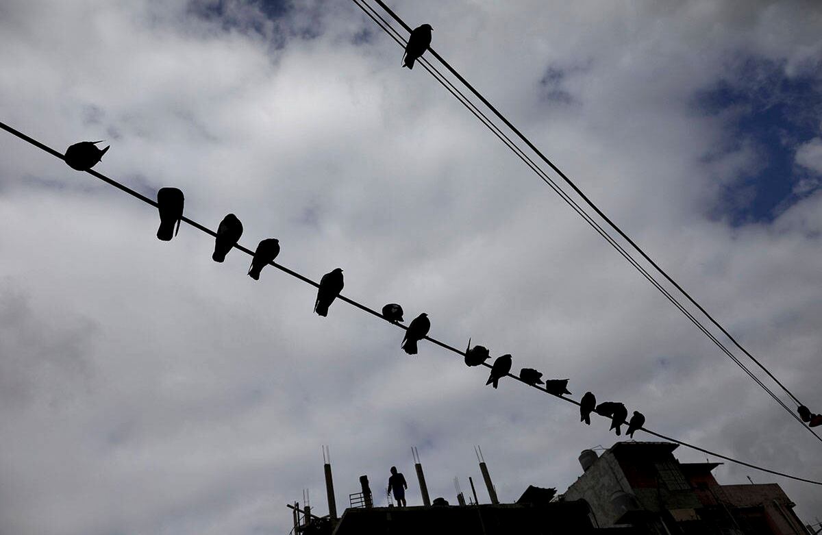 Un hombre se para en el techo de su casa mientras las aves se posan en cables eléctricos en el barrio "Villa 31" durante un bloqueo ordenado por el gobierno para frenar la propagación del nuevo coronavirus en Buenos Aires, Argentina, el miércoles 6 de mayo de 2020. Según el funcionario, la cantidad de casos confirmados de covid-19 en este barrio ha aumentado en la última semana, poniendo a las autoridades en alerta máxima. (Foto AP / Natacha Pisarenko)
